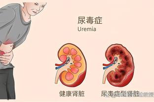 半岛客户端最新版本下载安装截图0