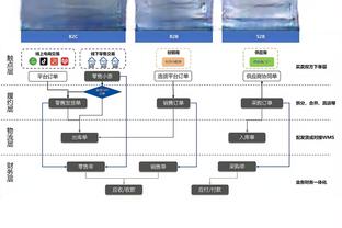 巴勒斯坦国家队本月将在阿尔及利亚集训，备战明年亚洲杯